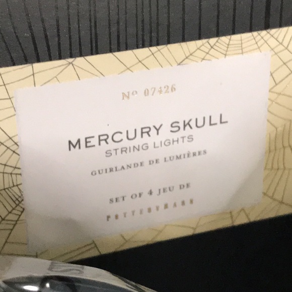 Pottery Barn Spooky Silver Mercury Style Warm Glow LED Light Up Skulls ππ· - Picture 7 of 17